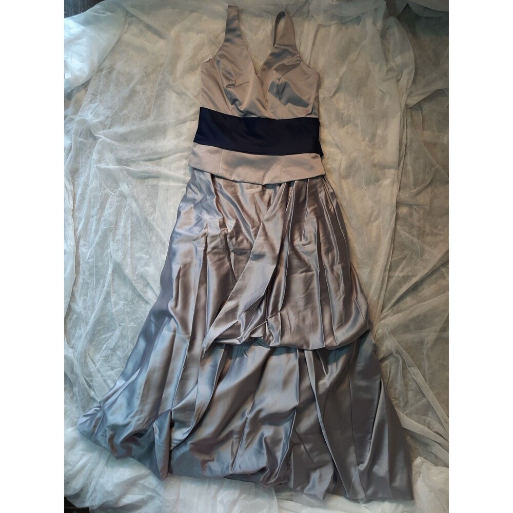 Private Collection Womens Ball Dress Size 12 Platinum Navy color Sleeveless Long